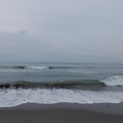 久々のフラット