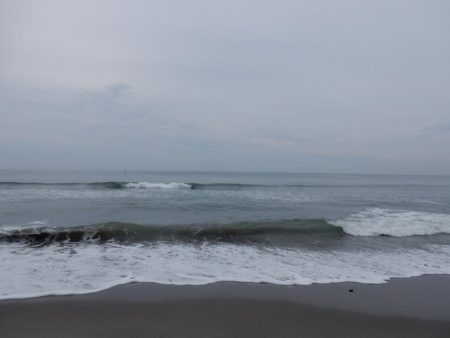 久々のフラット