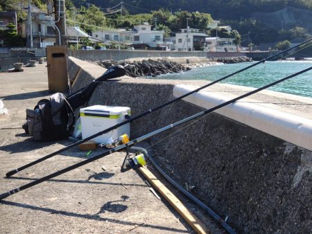 キス釣りが五目釣りに