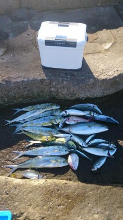 二馬力ボートでナブラ打ち