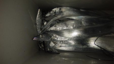 ショアジギング7