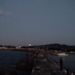 午後からちょこっとだけ