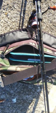 午後からちょこっとだけ