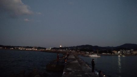 アジング5&ショアジギング8