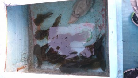 秋烏賊ボートエギング