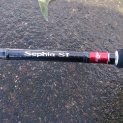 エギングロッドでナブラ打ち