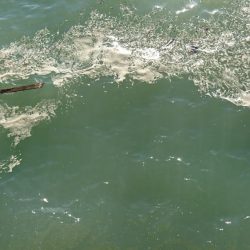 青物狙いつつ、タチウオ釣りたい