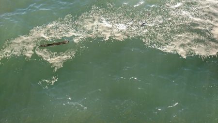 青物狙いつつ、タチウオ釣りたい