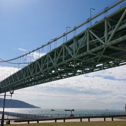 明石で五目釣り