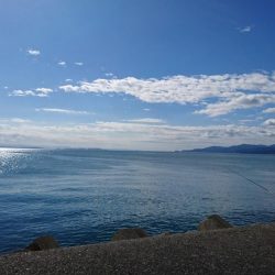 まさかの・・・