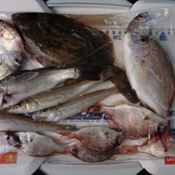 太刀魚、キス釣り、五目釣り