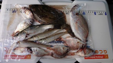 太刀魚、キス釣り、五目釣り