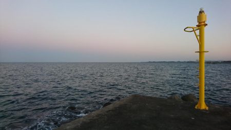 エソ以外ならなんでも