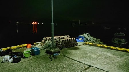 夜のアジ釣り 安芸津周辺