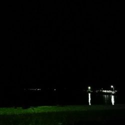 【アオリイカ新子】18杯。前回来たときよりも成長してました！