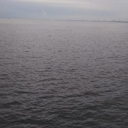 ワインド太刀魚