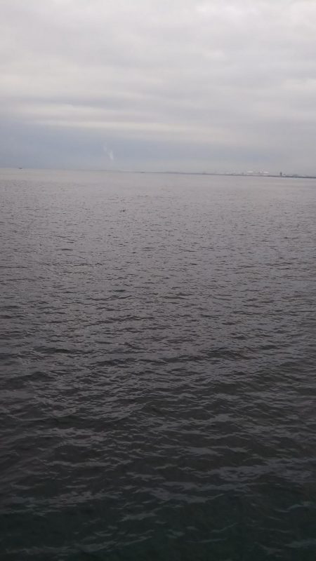 ワインド太刀魚