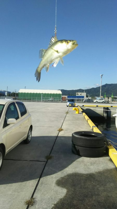 【苅田港】シーバス調査２