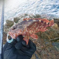 オフショアジギング