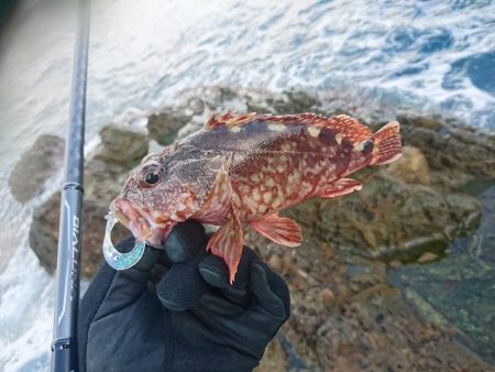 オフショアジギング