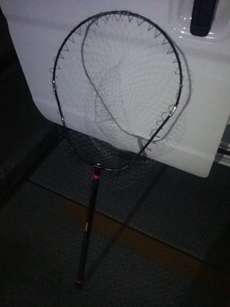 本日の獲物はタモ！？  ～辰巳一付近～