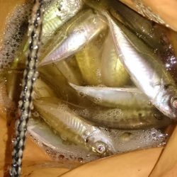 のべ竿いっぽん