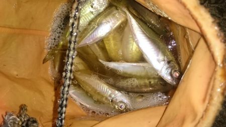 のべ竿いっぽん