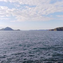 teamゲッソー調査隊