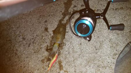 teamゲッソー調査隊