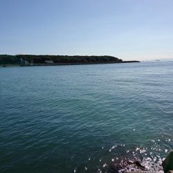 秋の落ちギス～