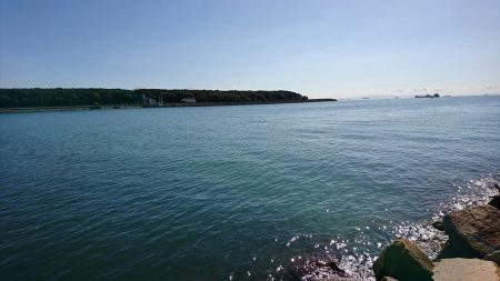 秋の落ちギス～