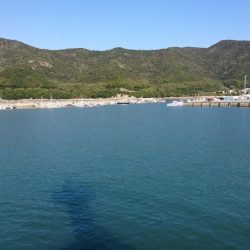 結局いつものやつら