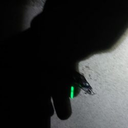 淡路島イイねぇ~