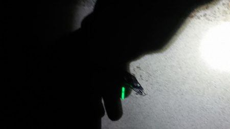 淡路島イイねぇ~