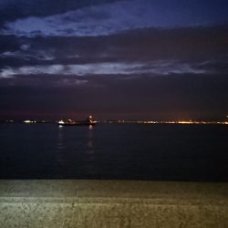 タチウオはたくさん