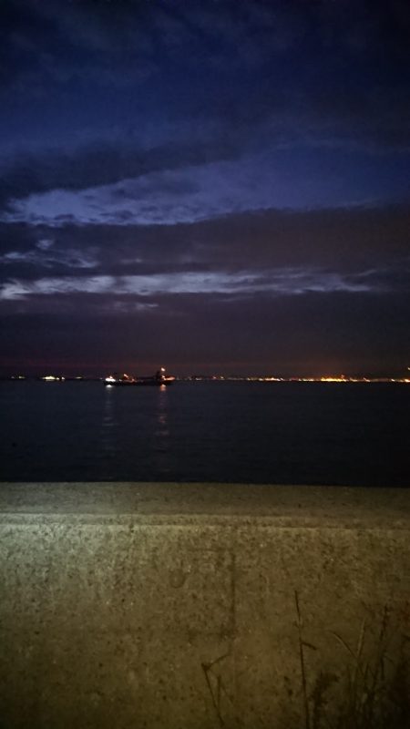 タチウオはたくさん