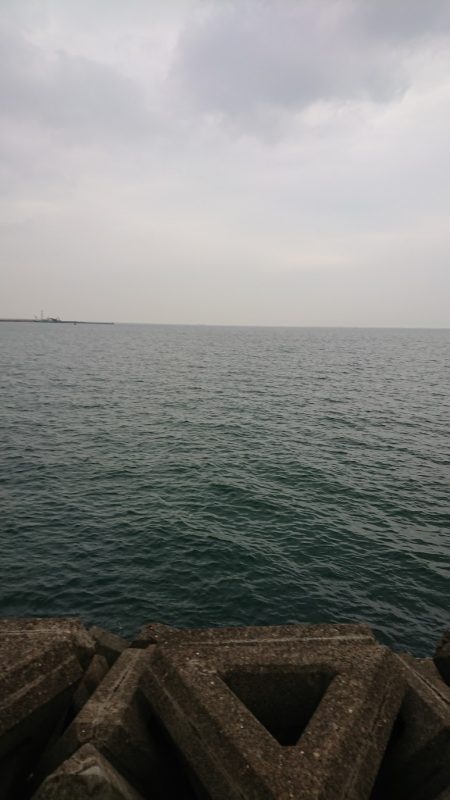 タチウオはたくさん2