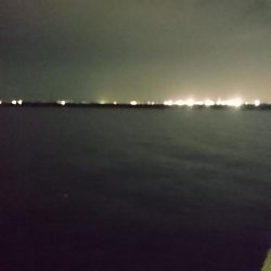 台風後の泉大津エリア遠征