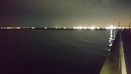 台風後の泉大津エリア遠征