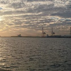 今ｼｰｽﾞﾝ初の夕まずめ釣行