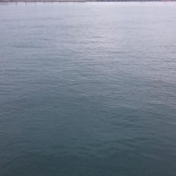 タチウオ釣行 絶不調