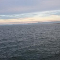 タチウオ久々のプチ遠征