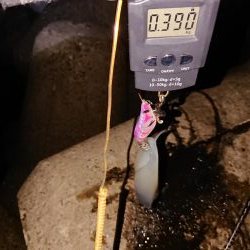 連発あるも渋い