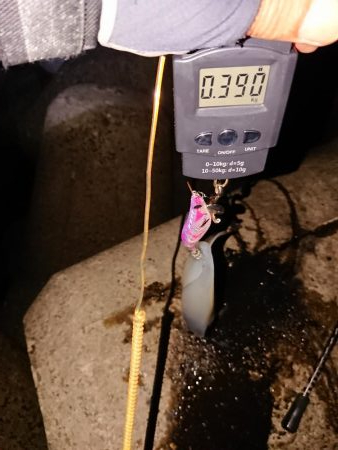 連発あるも渋い