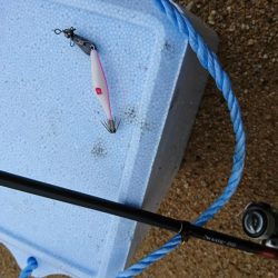 スッテDEフラット？