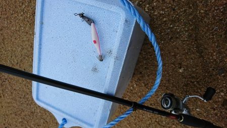 スッテDEフラット？