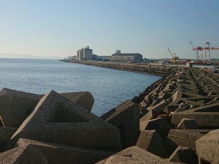 ライトショアジギング