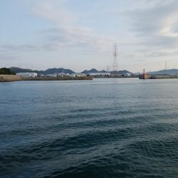 妻鹿へキス釣査