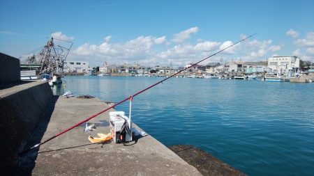 ハゼが入れ食い