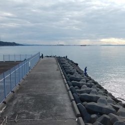 キス調査しました